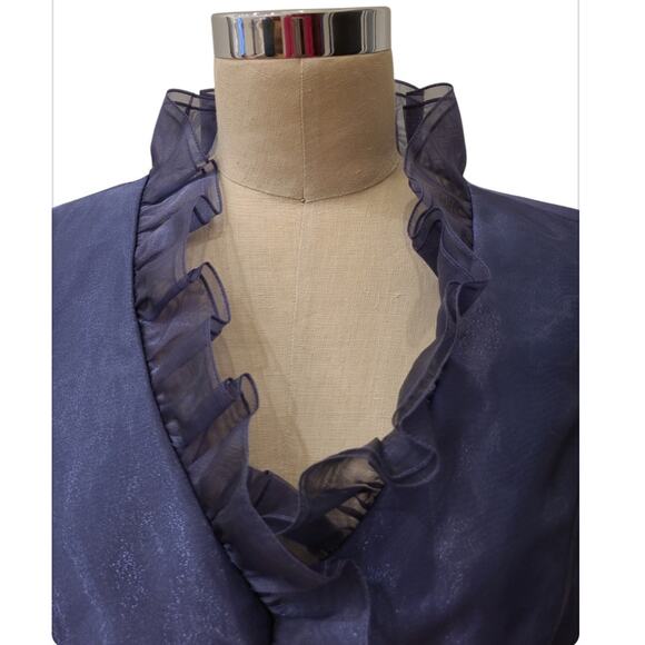 Alex Evenings Sheer Sleeve Shimmery Ruffle V-Neck Top Blouse Sz M Purple Dressy - Picture 5 of 11